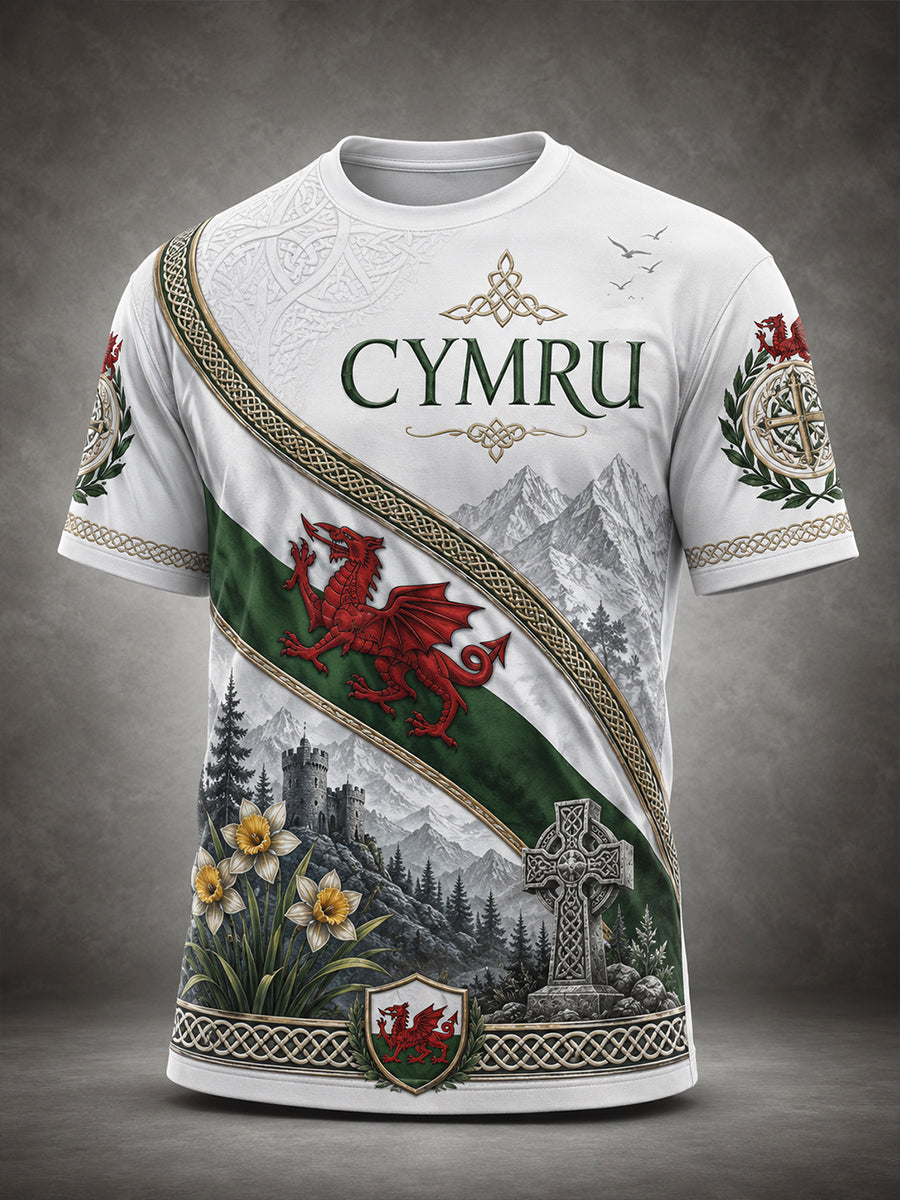 Men's Welsh Red Dragon Art Print T-Shirt